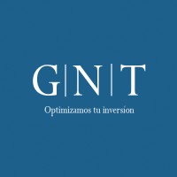 GNT Consulting Logo
