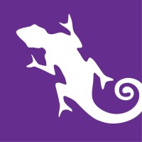 Chameleon Software Pty Ltd Logo