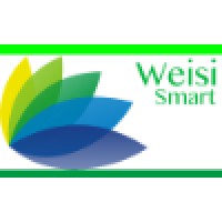 Weisi Smart Technology (Beijing) Co., Ltd. Logo