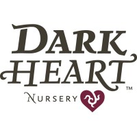 Dark Heart Nursery Logo