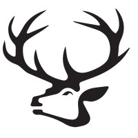 White Tail Automation Logo