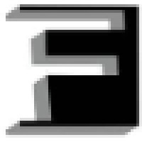 Fern (T) Company Ltd Logo