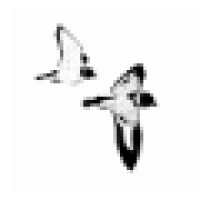 Bamford Consulting Ecologists Logo