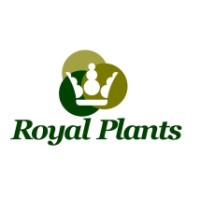 VIVEROS ROYAL PLANTS SL Logo