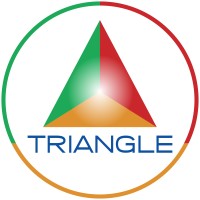 Triangle Services Ltd Logo