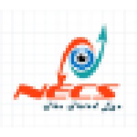 Netra Enterprise Consulting Services Logo