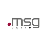 msg DAVID GmbH Logo