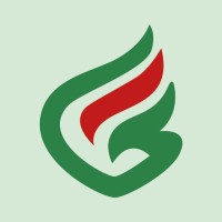 Grupo Geraldo Oliveira Logo