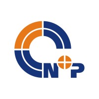N+P Informationssysteme GmbH Logo