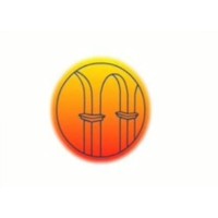 Niche Generics Limited Logo