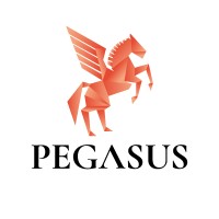 Pegasus Funding Solutions Ltd Logo