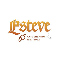 GUITARRAS FRANCISCO ESTEVE SA Logo