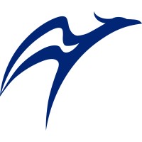 Phoenix Hospital Group Logo