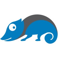 Chamaeleon AG Logo