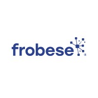frobese GmbH Informatikservices Logo
