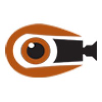 Video Perspective, LLC Logo