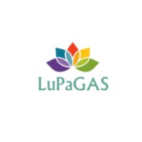 LUPAGAS INSTALACION Y MANTENIMIENTO SL Logo