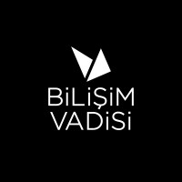 Bilişim Vadisi Logo