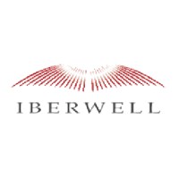 IBERWELL AERONAUTICA SL Logo