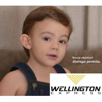 Wellington Express Transportes Logo