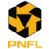 Perunding NFL Sdn. Bhd. (PNFL) Logo