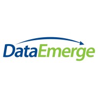 DataEmerge Logo