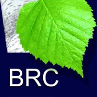 Berkana Resources Corporation Logo