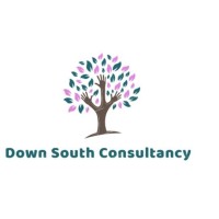 Down South Consultancy Logo