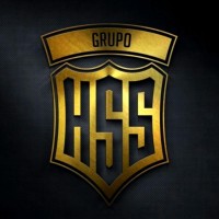 Grupo HSS Logo