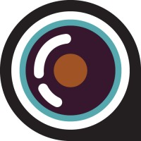 The Dashcam Store Logo