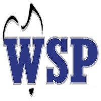 Wiring Solutions Plus Logo