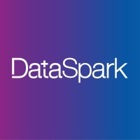 DataSpark Logo