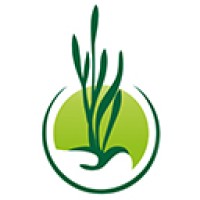 Circolo Agrario Friulano Logo