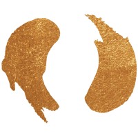 CQI | The Chartered Quality Institute Logo
