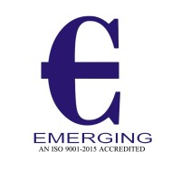 Emerging Staffing Services LLP Logo