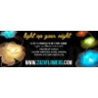 LEDlutions Logo