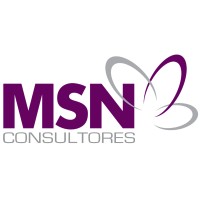 Corporativo MSN Consultores Logo