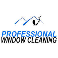 Professional Window Cleaning Logo