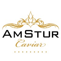 AmStur Logo