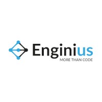 Enginius S.r.l. Logo
