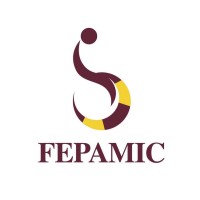 FEPAMIC Logo