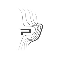 Pathfinder Aviation Logo