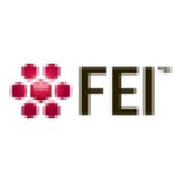 FEI Visualization Sciences Group Logo