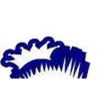 Kash King Logo