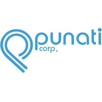 Punati Chemical Corp Logo