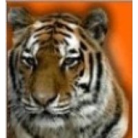 Cocoa High School Logo