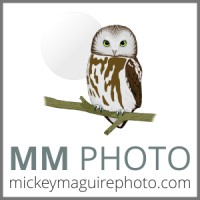 MickeyMaguirePhoto Logo
