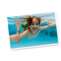 Bishop Air Service Logo