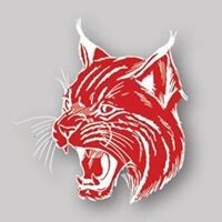 Norwayne High School Logo