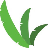 Palm Vista Community Church Logo